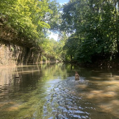 d_grecol's tweet photo. #NewProfilePic https://t.co/nu1tLHURLH