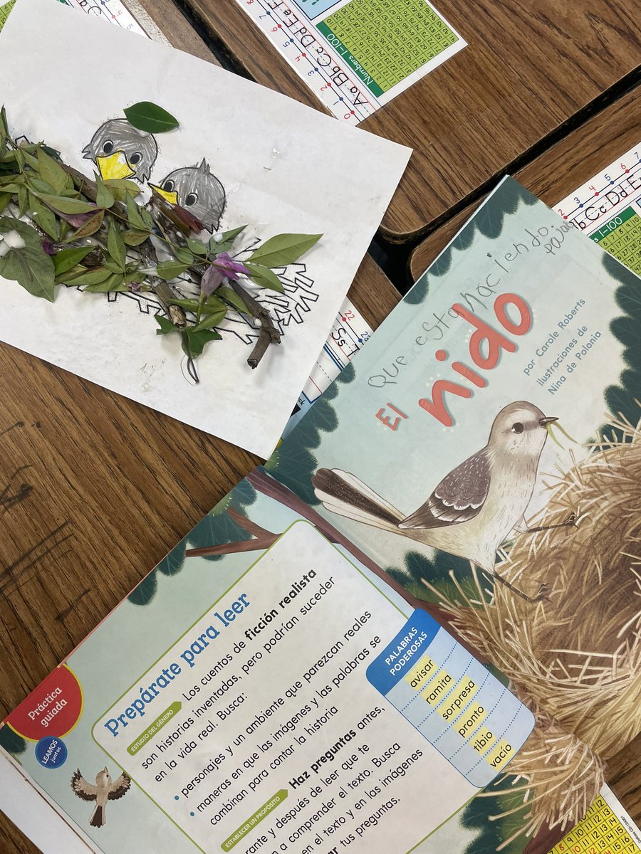 1ergrdPedraza's tweet photo. Como construirías un nido, para tus pichones, si fueras un ruiseñor? La pregunta del día basada en el texto de la semana “El Nido” @IrvingISD @JHaleyBulldogs https://t.co/QxHpZMkNJP