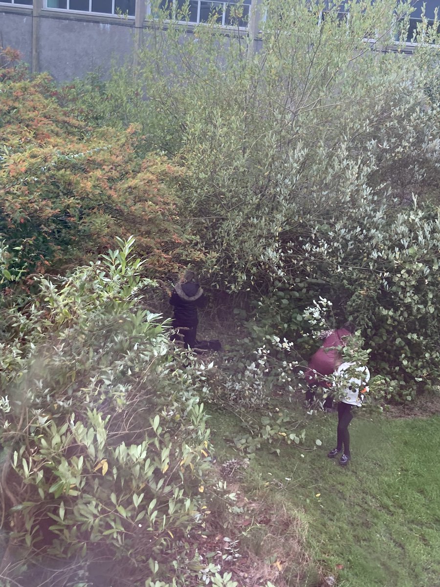 Busiest Friday yet! 🙌
35% of pupils engaged either in school or out at activities!
Huge thanks to <a href="/NLTitans/">North Lanarkshire Titans</a> <a href="/allinfitnesssco/">All In Fitness</a> <a href="/NCLanarkshire/">New College Lanarkshire</a>, staff and senior pupils 👏❤️
🏀🎨🎭🏳️‍🌈🗣️🎙️🏃🏻‍♀️👌🏼✋🚴‍♀️⚽️
Lots of sessions, learning and FUN!!! 
#engaged