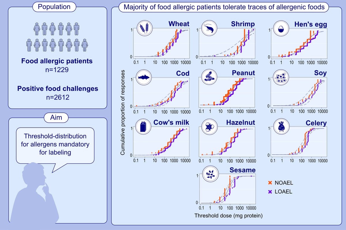 Open Access: Challenge-verified thresholds for allergens mandatory for labeling: How little is too much for the most sensitive patient? First and corresponding authors: Charlotte G. Mortz Read for free here: doi.org/10.1111/all.15… This retrospective study evaluates threshold…