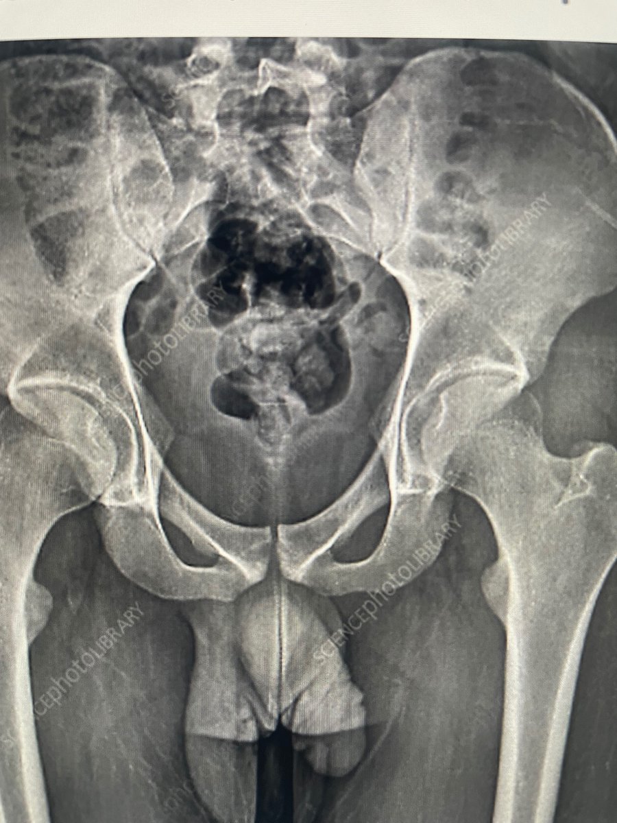 Grazie Pozo Christie, M.D. tweet media