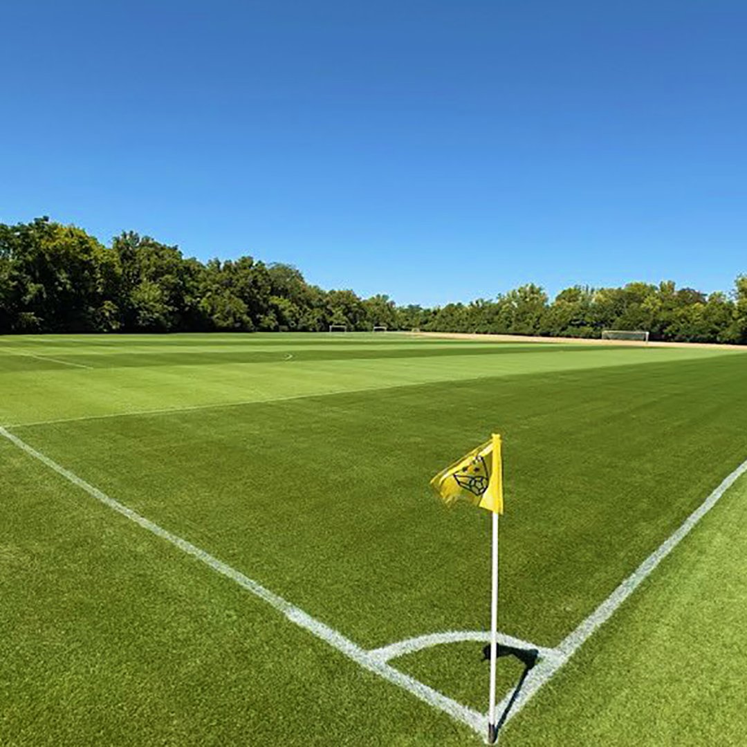 Barenbrug USA (@barenbrugusa) on Twitter photo What a difference a year can make! Last year, the Ohio Elite Soccer Academy renovated their fields with HGT. 🌱 Thank you to <a href="/FrontCenterTurf/">Front & Center Turf</a> for capturing the progress from start to finish! 🙌
#Turf #Renovation
Learn more about HGT 👉 hubs.ly/Q023g_680 What a difference a year can make! Last year, the Ohio Elite Soccer Academy renovated their fields with HGT. 🌱 Thank you to <a href="/FrontCenterTurf/">Front & Center Turf</a> for capturing the progress from start to finish! 🙌
#Turf #Renovation
Learn more about HGT 👉 hubs.ly/Q023g_680