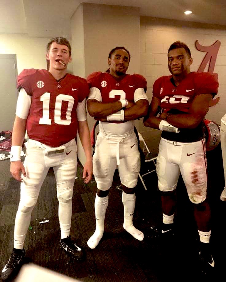 SFM Green Owl tweet media