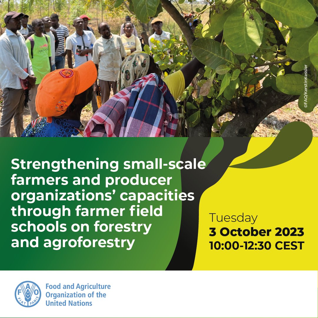 📢 Join <a href="/FAO/">Food and Agriculture Organization</a> online for a seminar!

Strengthening small-scale farmers and producer organizations’ capacities through #FarmerFieldSchools on forestry and #agroforestry 

🗓️ Tuesday 3 October 2023
 10:00–12:30 CEST

Full agenda and registration 👉 bit.ly/3RzJ6tz