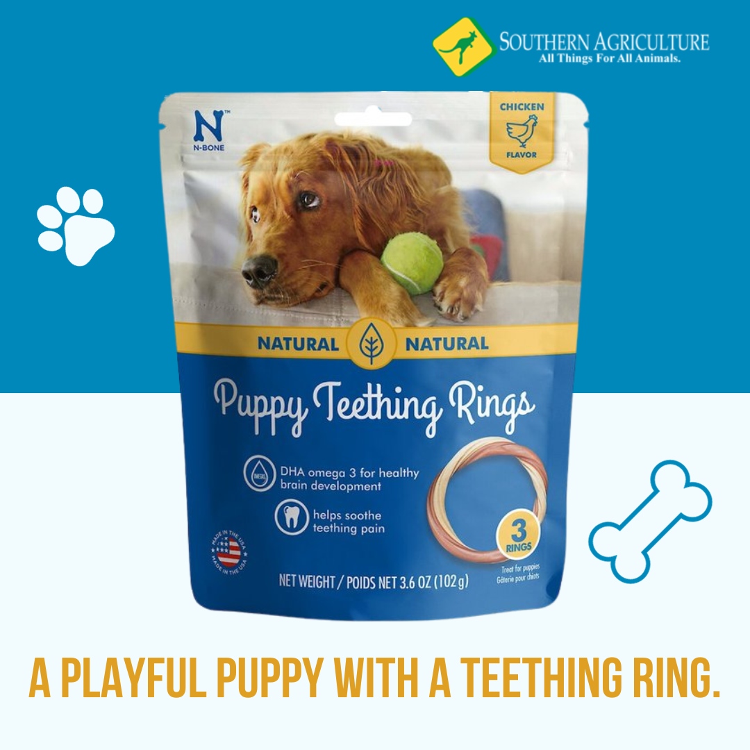 SouthernAgOK's tweet image. Teething Troubles? 🐶 Say goodbye to the woes with N-Bone Puppy Teething Rings! 😁 Irresistible chicken flavor, dental health benefits, and puppy-safe design – the perfect teething solution for your fur baby. 

southernagriculture.com/products/n-bon…

🦴 #PuppyLove #TeethingSolutions #DogTreats