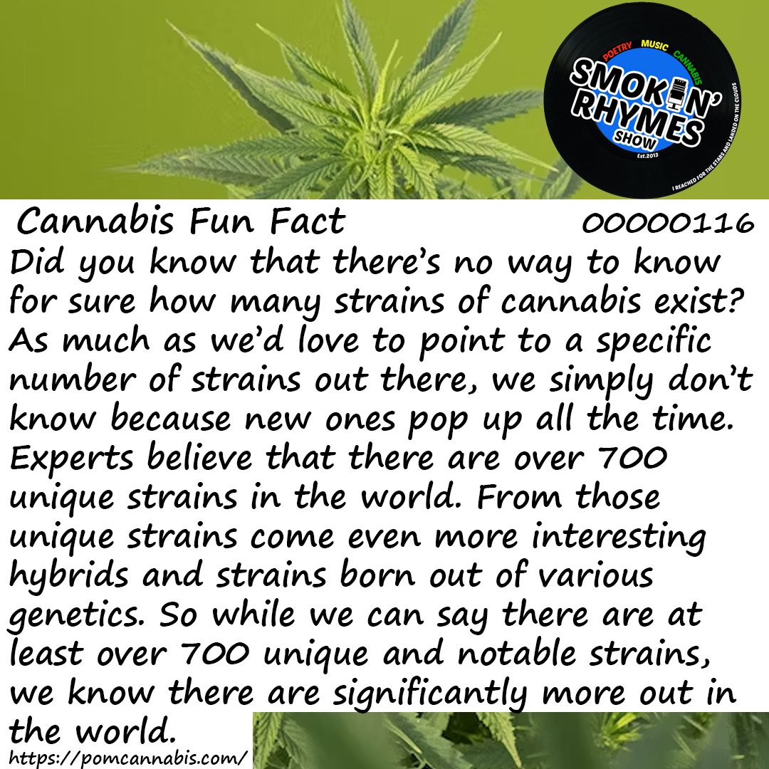 How many strains of cannabis exist?
#funfact #funfactfriday #cannabisfunfact #cannabisart #cannabiscommunity #cannabiseducation #cannabis #cannabismedicine #cannabisculture #cannabissociety #cannabislifestyle #cannabislover #cannabisindustry #cannabisphotography #global #aimhy