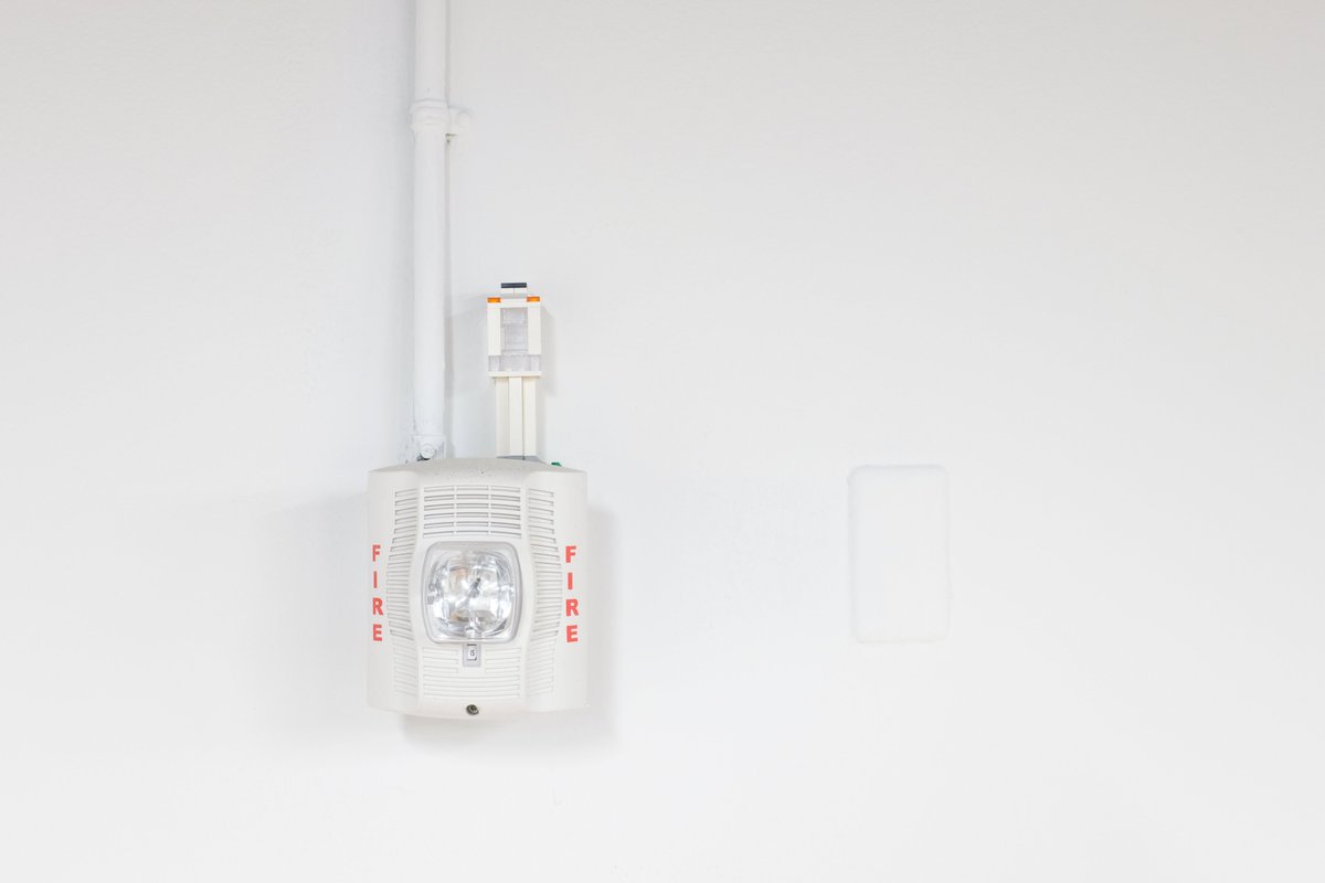 Benjamin Anderson tweet media