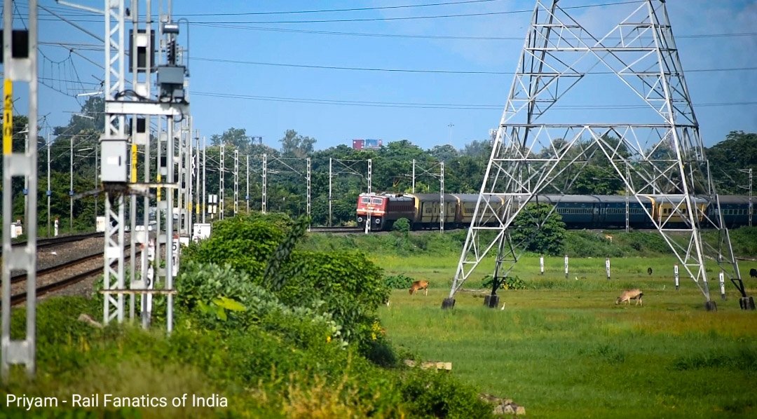 PriyamGhosh02's tweet image. #Curving train 

On bright afternoon TN 12508 Aronai Express curving after departure from New Jalpaiguri #Railway station through the green landscape .!

#IndianRailways 

@drm_kir @RailNf @RailMinIndia @AshwiniVaishnaw