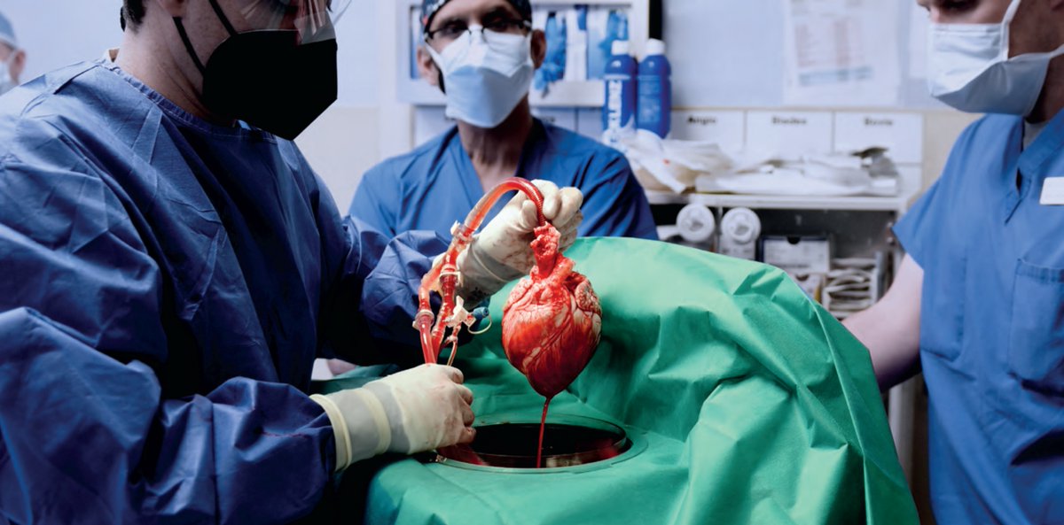 PittMedMag's tweet photo. In 2022, David Kaczorowski of @UPMC_CTSurgery helped conduct the first pig-to-human heart transplant in a living patient at @UMMC.

He's optimistic xenotransplantation could alleviate the donor-organ shortage.

This #WorldHeartDay, revisit his essay: https://t.co/bVVNJFMJ7I https://t.co/EBtqigABFz