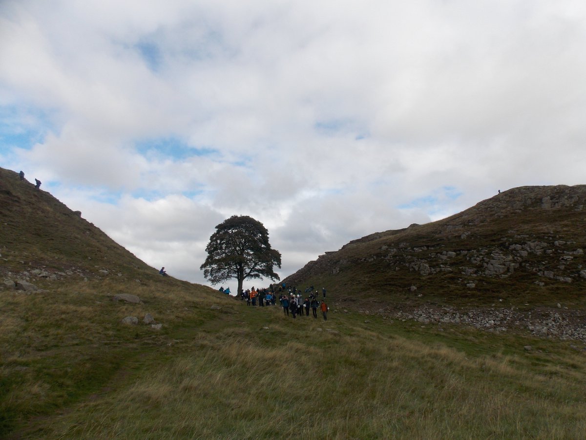 I'm glad I was able to visit Sycamore gap last year. It's awful knowing the tree has been felled. But I've really liked seeing all the photos/memories  - so here's my cloudy contribution.

Sycamore gap on a geology fieldtrip. Nature+rocks+archaeology = a great day out