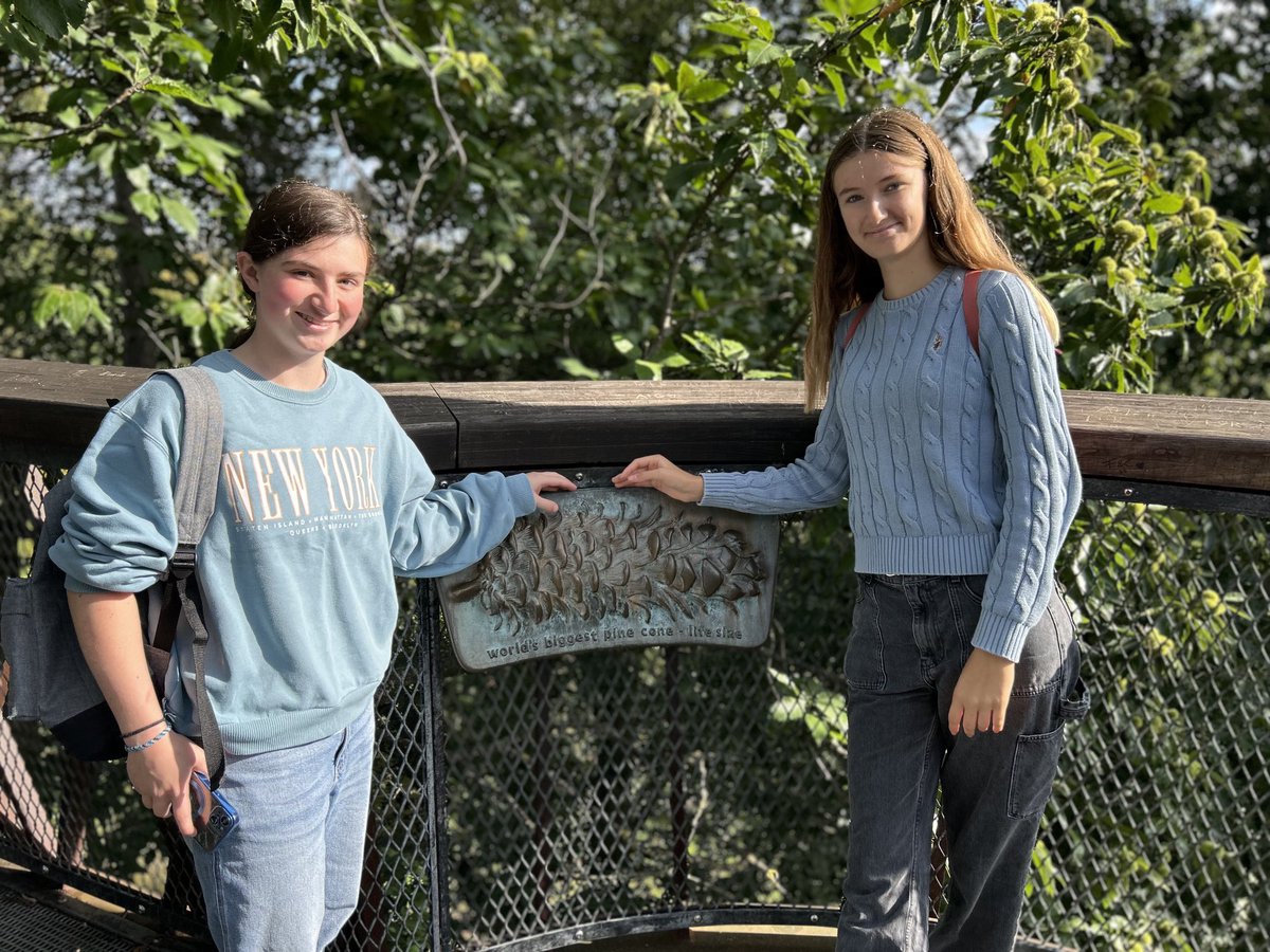 Epsom College Design tweet media