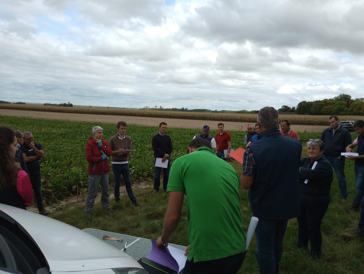 <a href="/ITB_CVLetIDF/">@ITB_Centre Val de Loire / Ile De France</a> a organisé cet après midi une visite des essais à Bordeaux-en-Gâtinais. Au programme :
- essais "screening" (produit solo ou associé) 
- essai stratégie
- observatoire cercosporiose : les différentes variétés sans protection fongicide 
Forte pression cercosporiose.