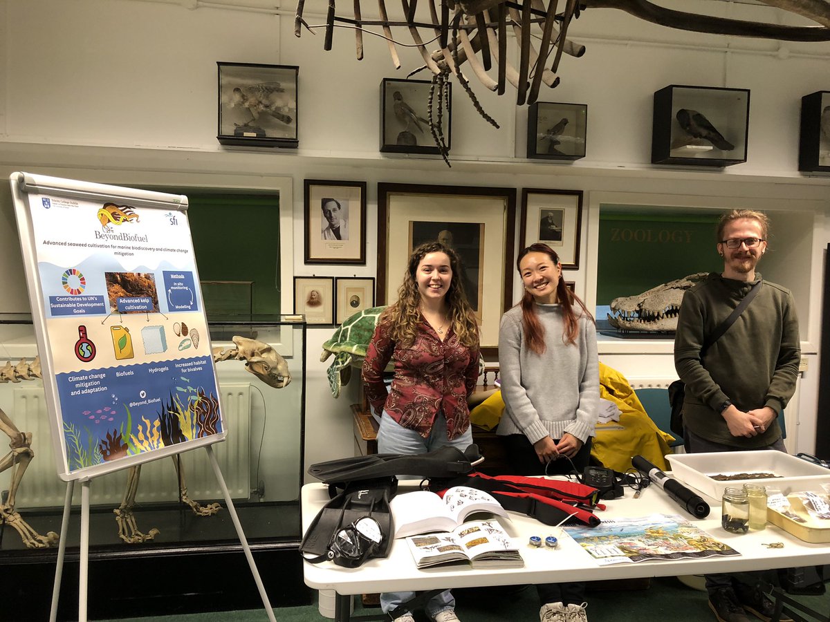 It’s all kicking off for #EuropeanResearchersNight The @Beyond_Biofuel team are ready to talk #seaweed… and anything else marine! 🌱🌊🦪🪼🐚 @TCDdeanresearch @TCDZoology @TCDZooMuseum @TCD_NatSci @TCDFacultySTEM @scienceirel