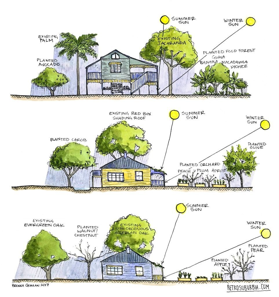 ¿Alguien por aquí que sepa dibujar así querría colaborar en un libro sobre arboricultura práctica urbana?
Imagenes de pinterest de 
RETROSURBIA.COM