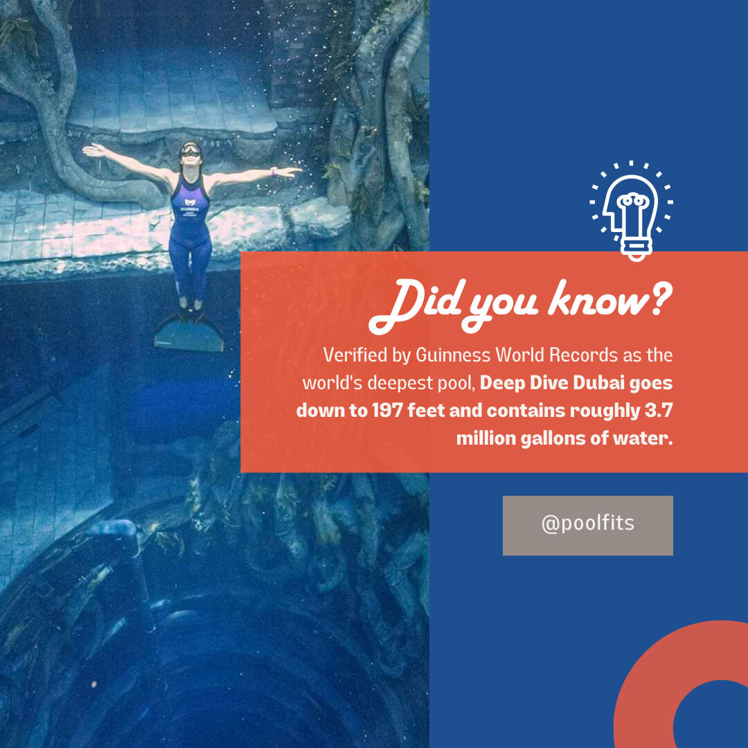 PoolFits's tweet photo. Did you know that Deep Dive Dubai is the ultimate aquatic wonderland? It's not just a pool; it's a world record-breaker! 

https://t.co/LdbQHka9bL

#poolliners
#poolsafetycovers
#custompoolcover https://t.co/GCRwTIL4AW