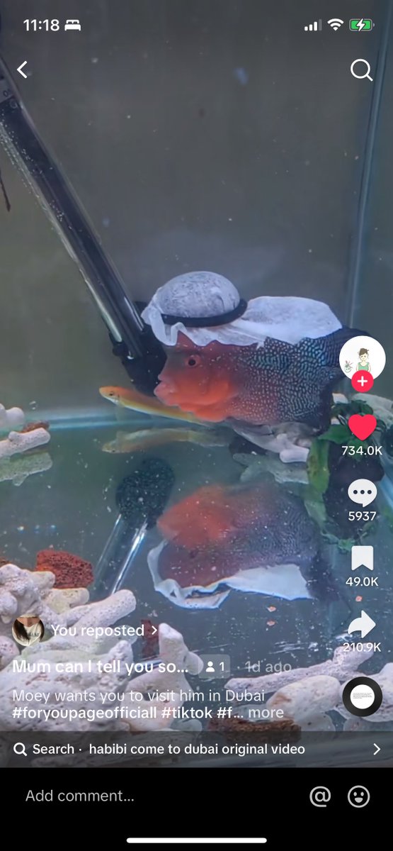 ถ้านี่ไม่ใช่ปลาที่รวยที่สุด