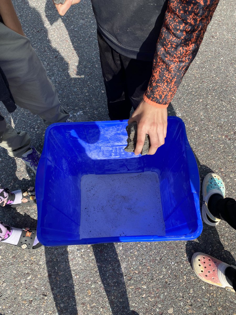 Meagan Perry tweet media