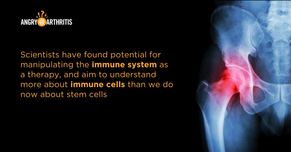 Did you know? 🦴 Check out these facts on #regenerative #immunology and hear from <a href="/JohnsHopkins/">Johns Hopkins University</a>’ Dr. <a href="/JHElisseeff/">@jhelisseeff.bsky.social</a> in our newest podcast episode: angryarthritis.org/podcasts/innov…
