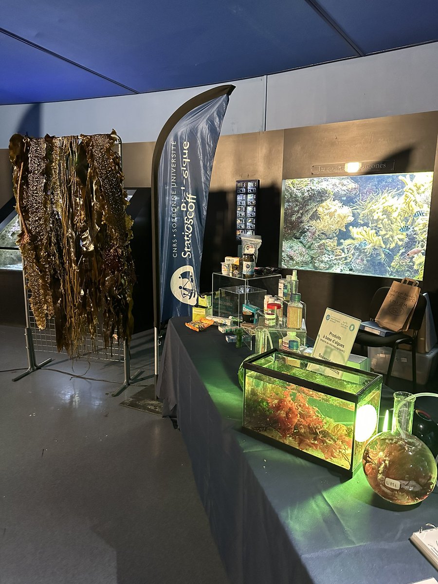 Coralie Rousseau (@rousseaucorali1) on Twitter photo Nous vous attendons avec notre cabinet des curiosités ! Venez vite ! <a href="/SBRoscoff/">Station Biologique de Roscoff</a> <a href="/Oceanopolis_/">Océanopolis Brest</a> #NuitChercheurs #NEDC Nous vous attendons avec notre cabinet des curiosités ! Venez vite ! <a href="/SBRoscoff/">Station Biologique de Roscoff</a> <a href="/Oceanopolis_/">Océanopolis Brest</a> #NuitChercheurs #NEDC