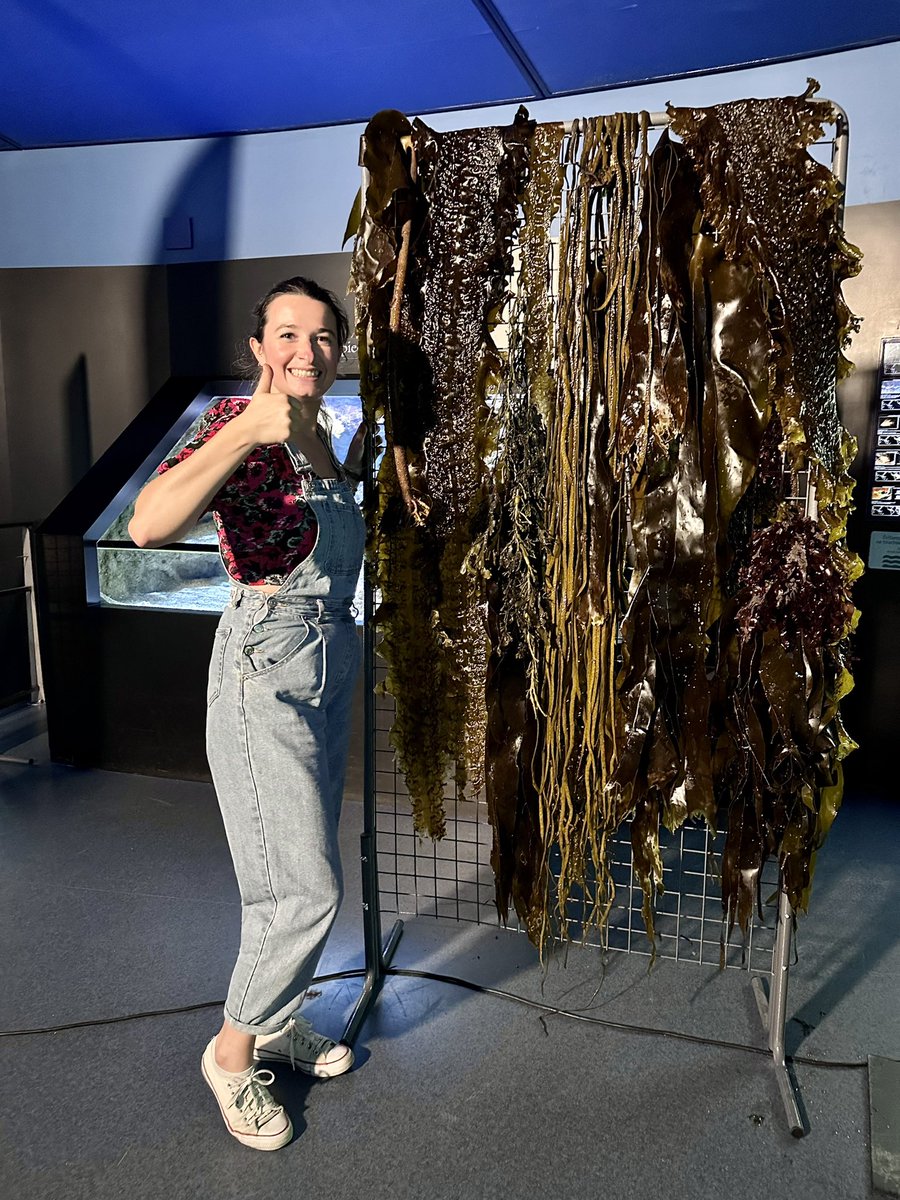 RousseauCorali1's tweet image. Nous vous attendons avec notre cabinet des curiosités ! Venez vite !  @SBRoscoff @Oceanopolis_ #NuitChercheurs #NEDC