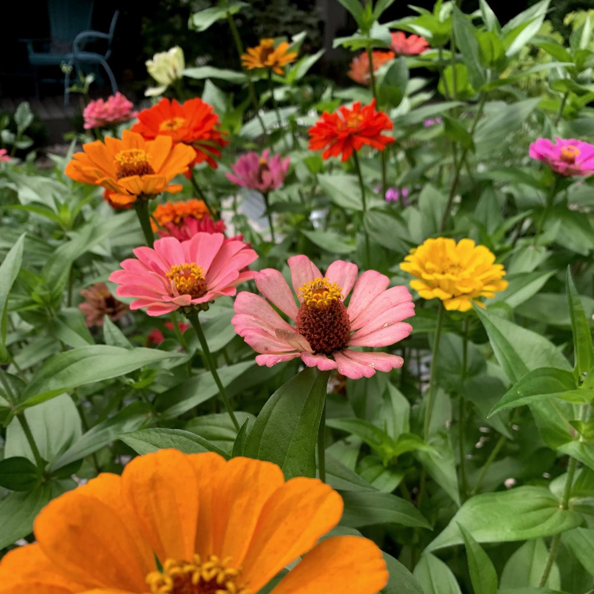 Happy Friday! Will you be visiting our tap room this weekend? We are open today until 6PM and tomorrow from 9AM - 2PM! 💐  Come fill up your 1 litre bottles and grab something delicious! We can’t wait to see your beautiful faces 😁