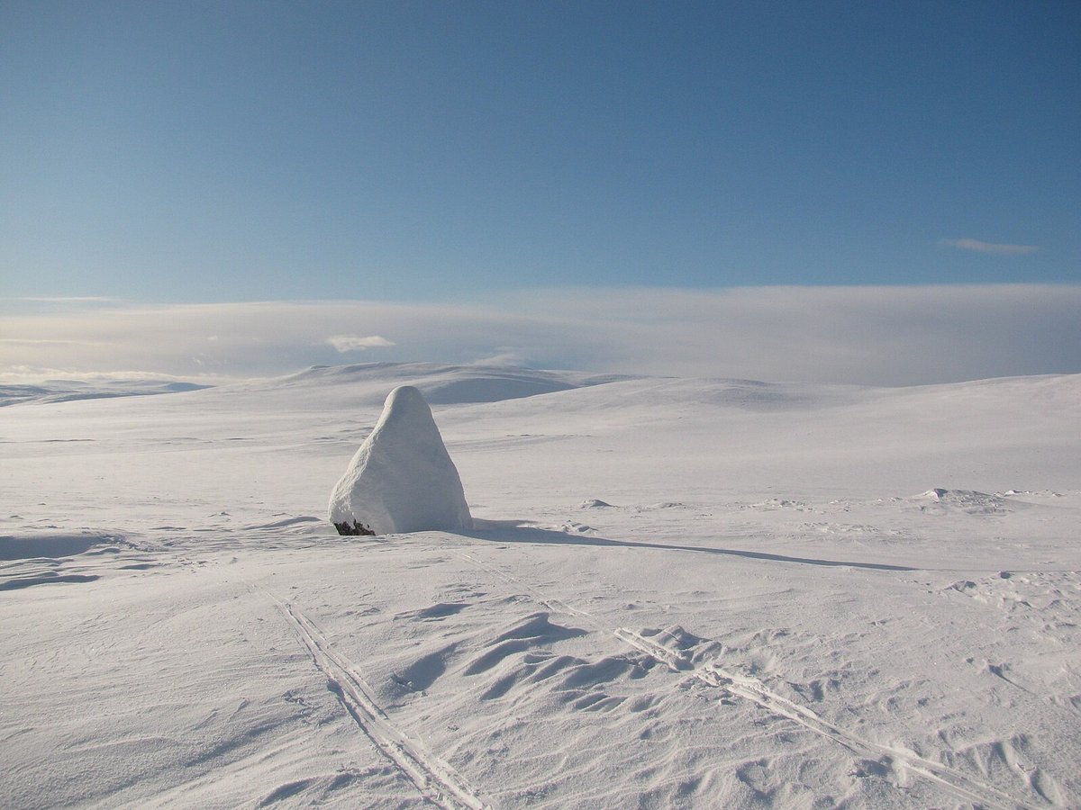 OpendataCH's tweet image. Working on adding #TraditionalKnowledgeLabels by @LocalContexts to @WikiCommons at #GLAMHack23 in Geneva with Wiki Loves #LivingHeritage. What are the challenges? How to go forward? Join the project at meta.wikimedia.org/wiki/Wikiproje…
@avoinGLAM