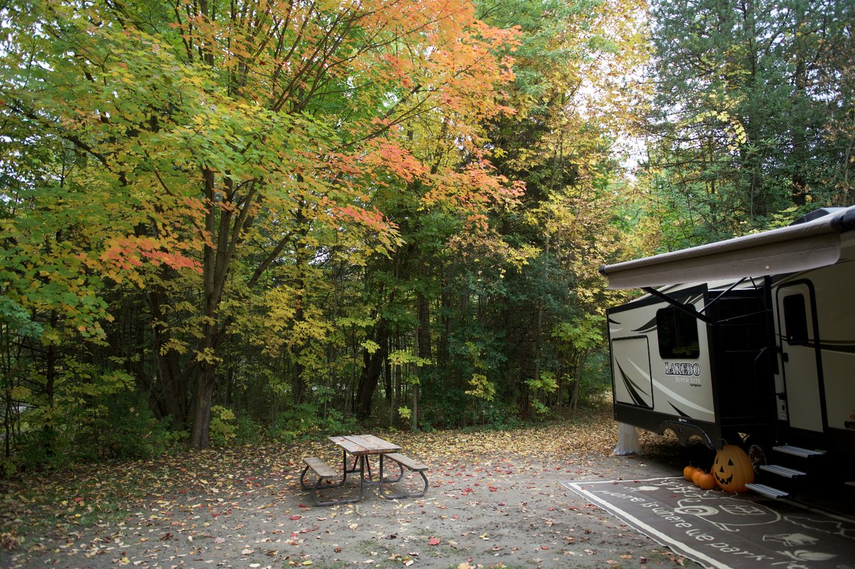 Over the Thanksgiving weekend campers are welcome to decorate their campsites and join in on the early Halloween fun with trick or treating on Saturday Night starting around 6pm.

🎃 If you are taking part in Trick or Treating, gate staff will put a stamp on your permit.