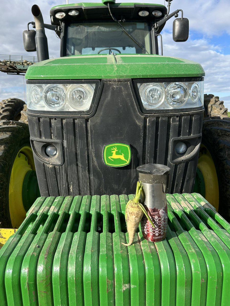 Tom Lievaart (@cranfordacres) on Twitter photo We started beet harvest yesterday; crop looks great! #beets <a href="/asbg/">AbSugarBeetGrowers</a> <a href="/KustersLindsay/">Lindsay Kusters</a> <a href="/rogers_sugar/">Rogers Sugar</a> We started beet harvest yesterday; crop looks great! #beets <a href="/asbg/">AbSugarBeetGrowers</a> <a href="/KustersLindsay/">Lindsay Kusters</a> <a href="/rogers_sugar/">Rogers Sugar</a>