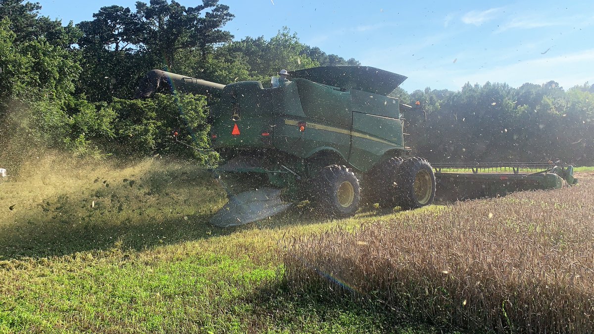 Since 2020, <a href="/VTAgWeeds/">Michael Flessner</a> &amp; his team have endured many facefuls of dust to test how well the Redekop SCU kills weed seeds leaving the combine. 

Here's a sneak peak at their preliminary results! 
growiwm.org/a-weed-seed-ki…