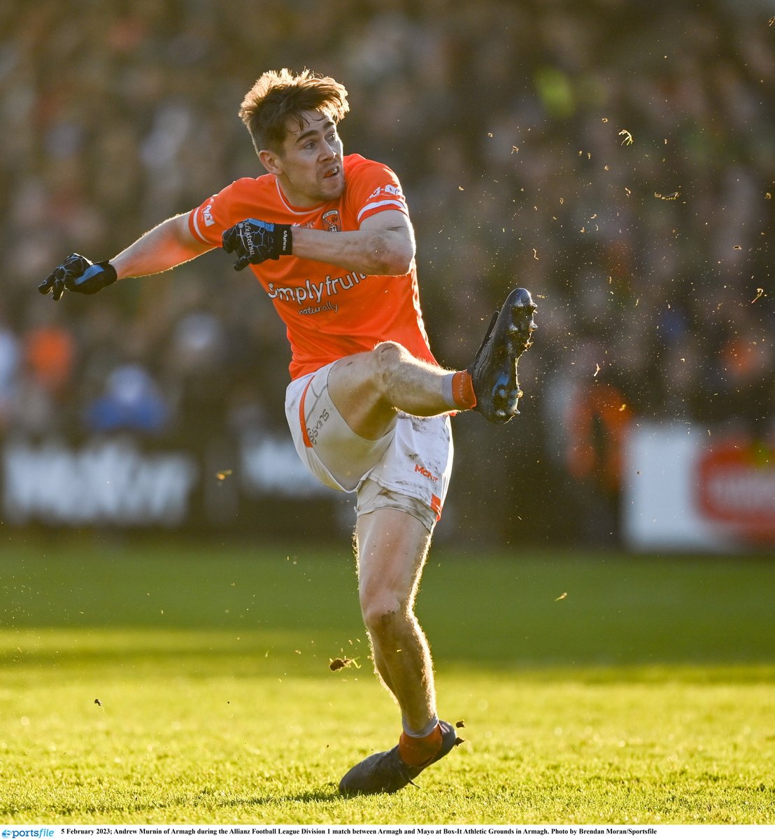 Armagh_GAA tweet media