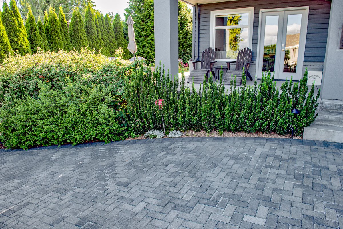 Mutual Materials tweet media