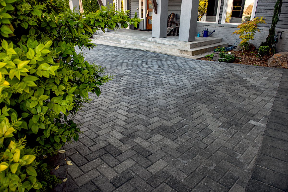 Mutual Materials tweet media