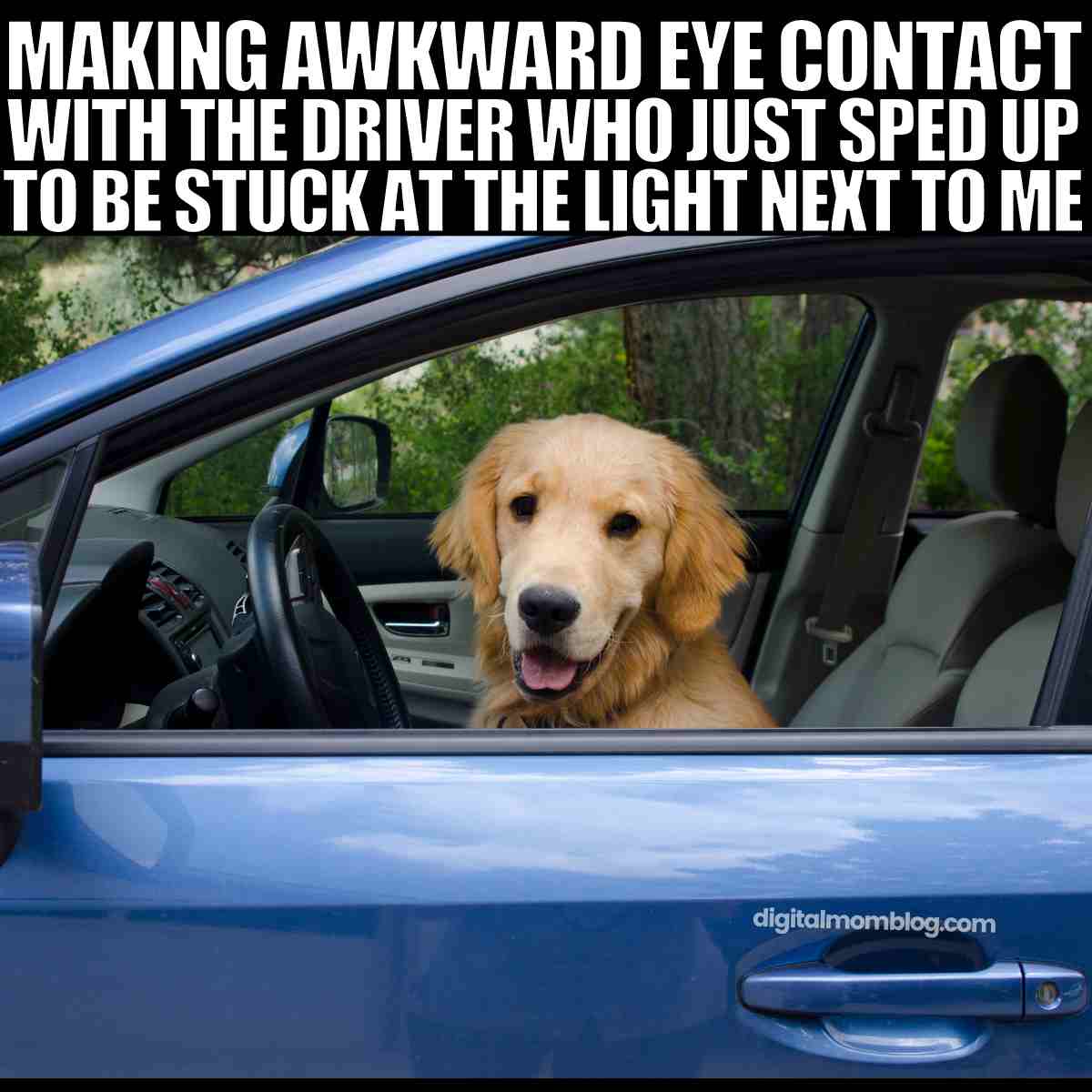 magellandashcam's tweet photo. Smile! It’s finally Friday. 😂

Drive safe out there. Another reason you need a dash camera!

#MioNA #AllAboutYou #DashCam #Driving #DriveSafe #DashCamera #Safety #ReasonsYouNeedADashCamera #ReasonsYouNeedADashCam https://t.co/WFtXgnrVlJ