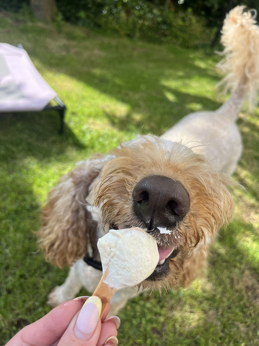 Potentgingerx's tweet photo. Bring back the warm weather https://t.co/R1P6DAfzNB
