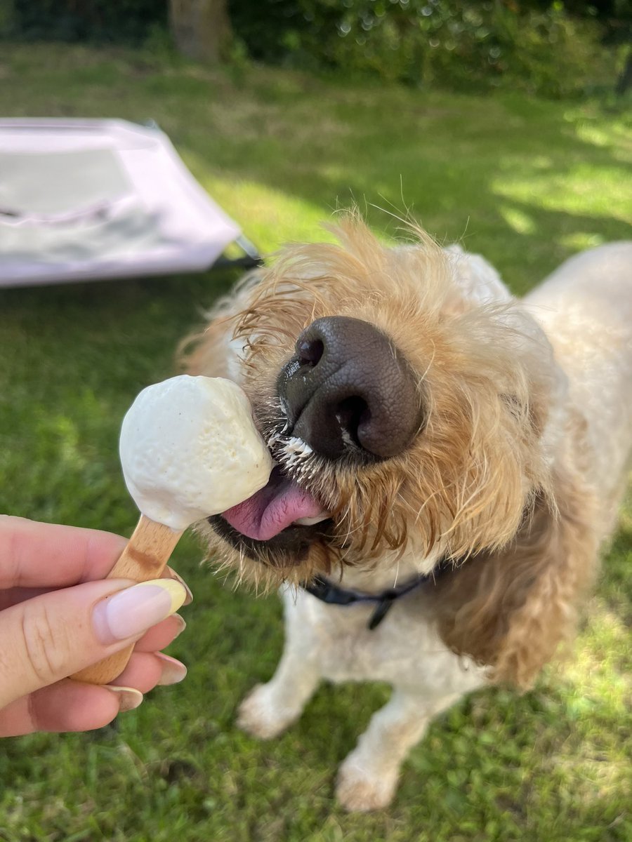Potentgingerx's tweet photo. Bring back the warm weather https://t.co/R1P6DAfzNB