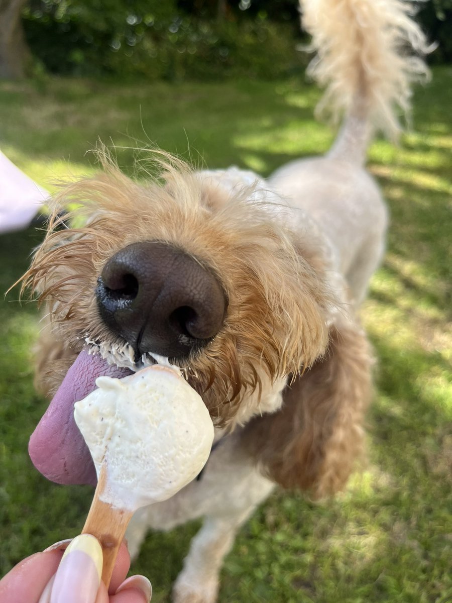 Potentgingerx's tweet photo. Bring back the warm weather https://t.co/R1P6DAfzNB