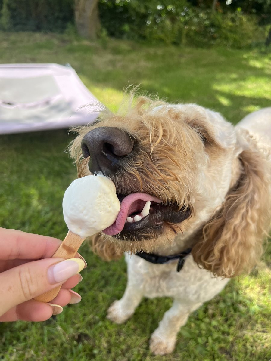 Potentgingerx's tweet photo. Bring back the warm weather https://t.co/R1P6DAfzNB