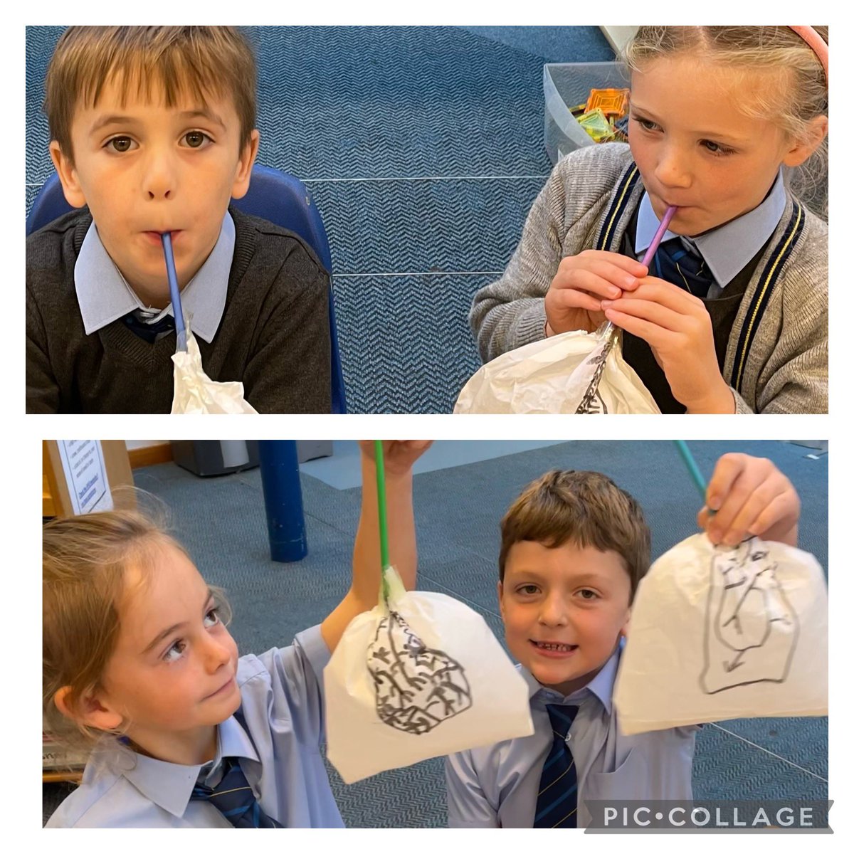 StJosephsERC's tweet image. P2 were learning about the lungs during their STEM topic ‘The Human Body’. They found out that lungs take air in and send out carbon dioxide.  They loved making a lung with a paper bag and straw, drawing on the important parts and inflating and deflating it. 🫁👍 #ERCStem
