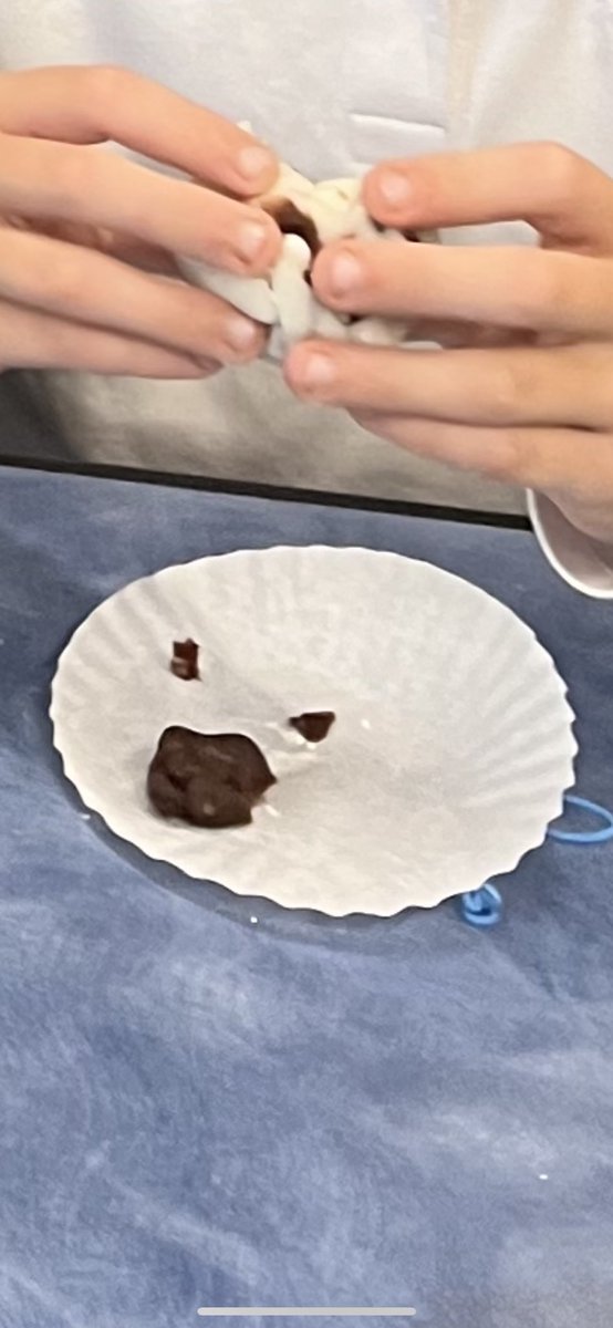 Kimberly McD (@goldenteach) on Twitter photo After finishing Jasmine Toguchi Mochi Queen, my Ss got to pound Mochi, roll and stuff Mochi and try it too! Yummy! #kidlit <a href="/DebbiMichiko/">Debbi Michiko Florence⁷</a> <a href="/elizabetvukovic/">Elizabet Vukovic</a> <a href="/MacKidsBooks/">MacKids Books</a> <a href="/MacKidsSL/">Macmillan Children's School & Library 📚</a> After finishing Jasmine Toguchi Mochi Queen, my Ss got to pound Mochi, roll and stuff Mochi and try it too! Yummy! #kidlit <a href="/DebbiMichiko/">Debbi Michiko Florence⁷</a> <a href="/elizabetvukovic/">Elizabet Vukovic</a> <a href="/MacKidsBooks/">MacKids Books</a> <a href="/MacKidsSL/">Macmillan Children's School & Library 📚</a>