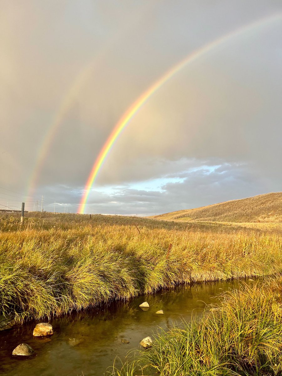 savenosecreek's tweet photo. “…And the dreams that you dare to dream, really do come true…”
Our Creek Watch team were “somewhere over the rainbow” this week, taking these beautiful shots! So much potential in this Valley!
#SaveNoseCreek #SNCsky #SNCwatershed #SNCcreekwatch #yyc #RockyViewCounty #Airdrie https://t.co/cBuSSWhx3J