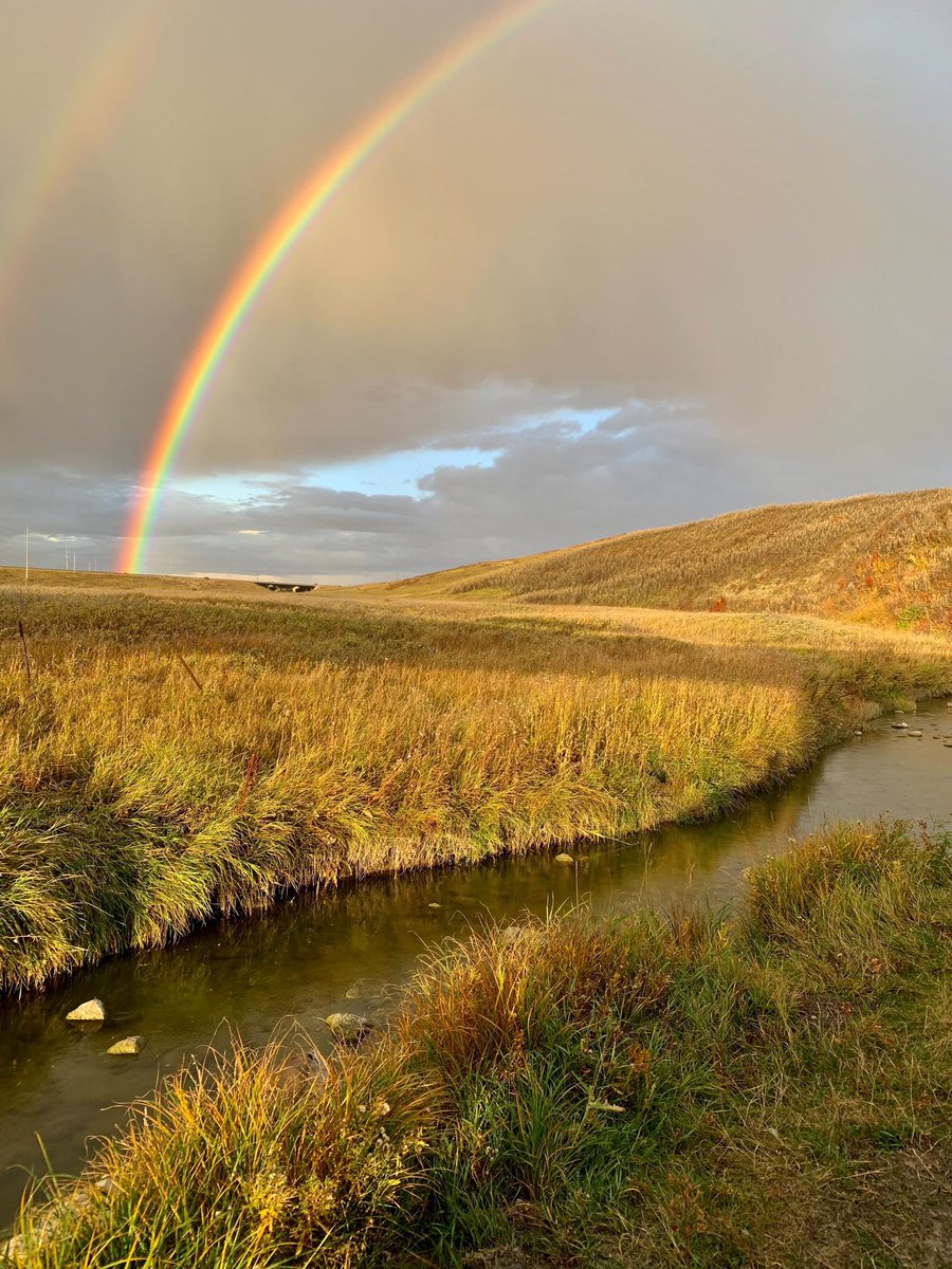 savenosecreek's tweet photo. “…And the dreams that you dare to dream, really do come true…”
Our Creek Watch team were “somewhere over the rainbow” this week, taking these beautiful shots! So much potential in this Valley!
#SaveNoseCreek #SNCsky #SNCwatershed #SNCcreekwatch #yyc #RockyViewCounty #Airdrie https://t.co/cBuSSWhx3J