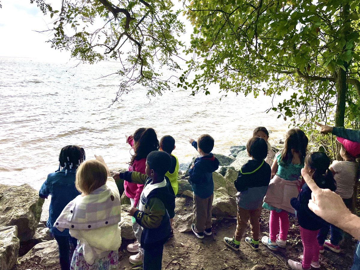 AEchoEnvEdAACPS's tweet photo. Kindergarten students from Hilltop ES were amazed at how large the Chesapeake Bay is and that it was not the ocean. They also proved to be great “tree seed detectives”.
#AACPSFamily #aacpsawesome #belonggrowsucceed #TreesAreTerrific https://t.co/AFPaIZL6WE