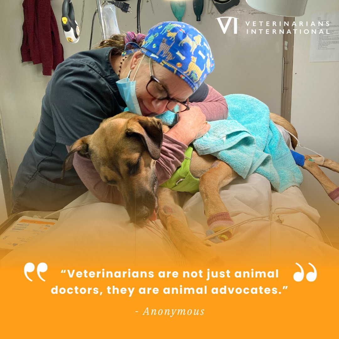 Let's give a huge shoutout to these unsung heroes.👏

Show some love to your favorite veterinarian in the comments and let them know you appreciate all they do! 🐾💙

#Veterinarian #VetLife #AnimalCare #PetHealth #AnimalDoctor #VetTech #ThankYouVeterinarians #VetAppreciation