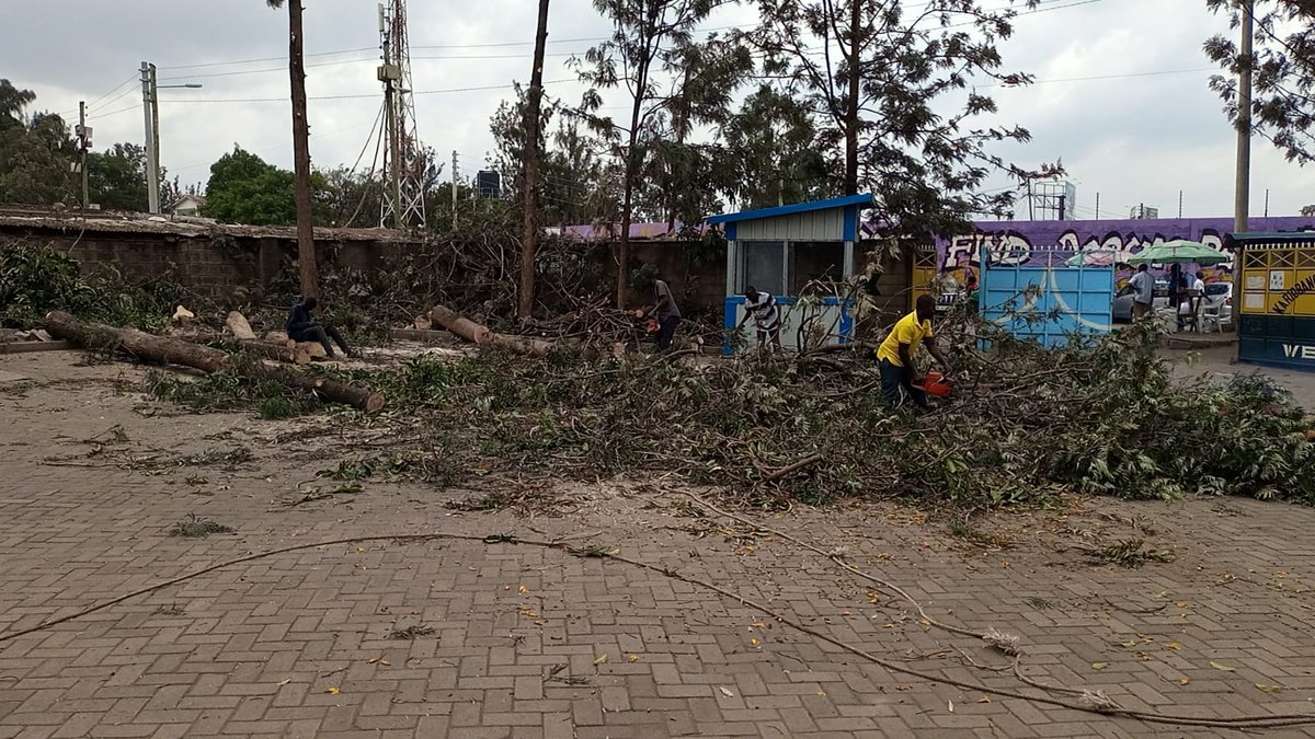 Kenyan government is committed to plant 15billion tree seedlings maybe thats why they're giving orders to PRUN tree at Kariobangi North Health Center during  weekday ... This is injustice to us all!!!. Sometimes this government of ours they proceed.. #tree #RyderCup
#collapse #k