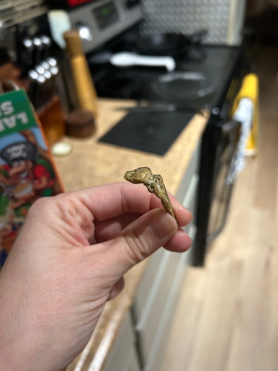 jaynes_annie's tweet photo. Found this in my @Quaker Cap’n Crunch’s Peanut Butter Crunch. https://t.co/QDiQwYJ8Iw