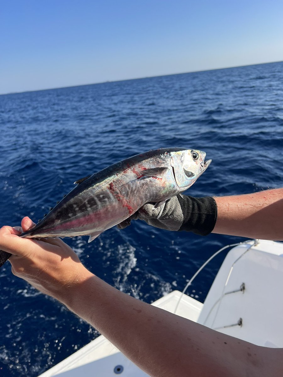Catch of the day