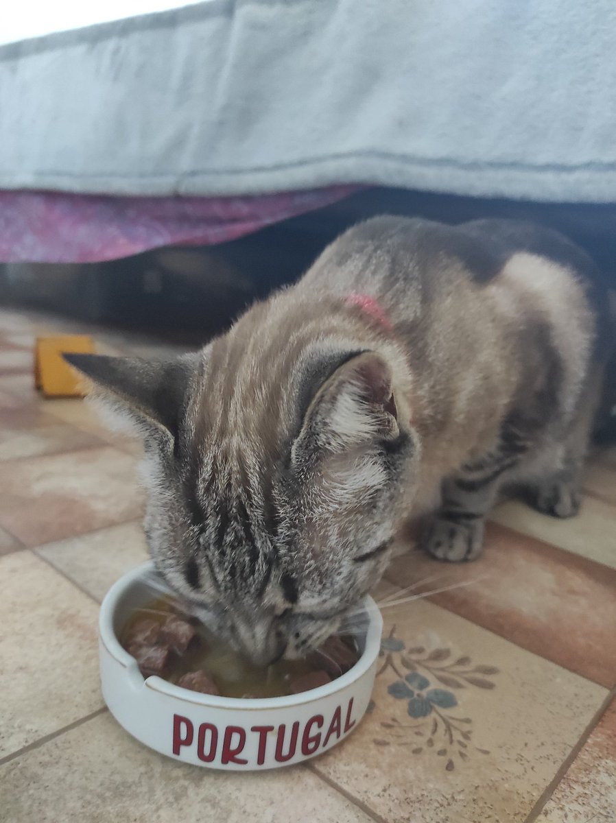 Mi niña ha aparecidoooooo! Muchísimas gracias a todos los que habéis compartido!