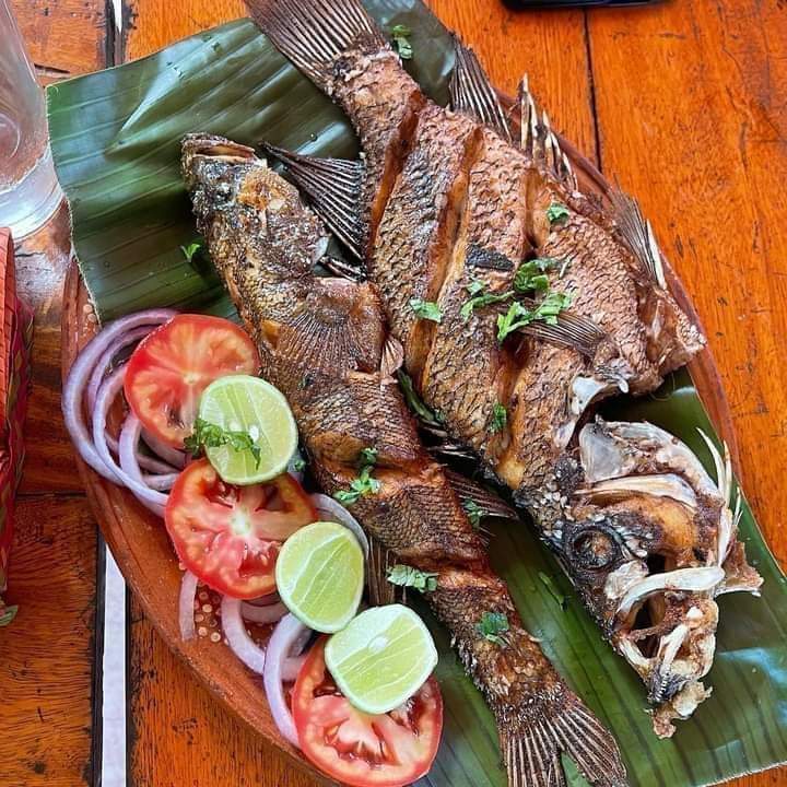 Neyda21708001's tweet photo. Que tengan un excelente Almuerzo 

#VenezuelaDeValoresYCultura
@NicolasMaduro @Mippcivzla @VTVcanal8 @PartidoPSUV @f_ney @Neyda21708001 @neydaf1 @ApureHumana @DianaJosefinaI4 @gestionsINN @iginia146137 @IngridMVIR @instantenoti24 @IralisailC @IRENEDELUQUE1 @IsauraParra10 @rus_ito https://t.co/pEc5BRZXuw