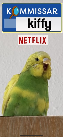 diamantencop77's tweet photo. #Bonusmaterial "Kommissar Kiffy" 

Interview mit dem Darsteller @KiffyBird zu seiner TV-Serie #KommissarKiffy.

Hallo Kiffy, es ist großartig, dich hier zu haben! Du spielst aktuell in der TV-Serie "Kommissar Kiffy" die Hauptrolle und bis aktuelle ein echter Star auf #NETFLIX und #X. Wie fühlt es sich an, so bekannt und beliebt zu sein?

Hallo! Es ist wirklich aufregend und ein wenig überwältigend, ehrlich gesagt. Als ich zum ersten Mal die Gelegenheit bekam, in "Kommissar Kiffy" mitzuspielen, hätte ich nie gedacht, dass die Serie so erfolgreich werden würde. Es ist toll zu sehen, wie die Fans die Abenteuer von Julia und mir lieben.

Die Serie "Kommissar Kiffy" ist ein großer Erfolg und geht im Oktober in seine vierte finale Staffel. Was denkst du, ist das Geheimnis des Erfolgs?

Ich denke, das Geheimnis des Erfolgs liegt darin, dass die Serie eine einzigartige Kombination aus Spannung, Humor und einer besonderen Freundschaft zwischen Julia und mir bietet. Außerdem haben wir einen großartigen Autoren und nur die besten Schauspieler, die die Charaktere lebendig machen. Und natürlich hat auch die Tatsache, dass ich ein Wellensittich bin, dazu beigetragen, dass die Serie etwas Besonderes ist.

Absolut, du bist wirklich das Herzstück der Serie! Kannst du uns etwas über deine Zusammenarbeit mit Julia, der Hauptdarstellerin, erzählen?

Julia ist einfach fantastisch! Wir haben von Anfang an eine großartige Chemie gehabt, und es ist wirklich einfach, mit ihr zu arbeiten. Sie ist nicht nur eine talentierte Schauspielerin, sondern auch eine großartige Freundin. Wir haben viel Zeit miteinander verbracht, um unsere Rollen besser zu verstehen und die Abenteuer in der Serie zum Leben zu erwecken.

Das hört sich nach einer wunderbaren Zusammenarbeit an. Aber jetzt steht bald nach vier Staffeln das Ende von "Kommissar Kiffy" an, was sind deine Pläne für die Zukunft?

Nun, ich plane, mir eine kleine Pause zu gönnen und mich von den aufregenden Ermittlungen zu erholen. Aber ich habe auch einige aufregende neue Projekte in Aussicht. Es gibt Gerüchte über eine Animationsfilmreihe, in der ich die Hauptrolle sprechen könnte, und ich denke darüber nach, meine eigene Buchreihe zu schreiben. Außerdem möchte ich mehr Zeit mit Julia verbringen und vielleicht sogar ein paar neue Tricks lernen.

Das klingt nach aufregenden Plänen, Kiffy! Wir sind sicher, dass deine Fans gespannt darauf sind, was du als Nächstes machst. Gibt es noch etwas, das du deinen treuen Fans mitteilen möchtest?

Ja, ich möchte mich bei meinen Fans für ihre unglaubliche Unterstützung bedanken. Es war eine fantastische Reise, "Kommissar Kiffy" zu drehen, und ich bin so dankbar, dass ich die Gelegenheit dazu hatte. Bleibt dran, denn es wird noch viel mehr von mir zu sehen und zu hören geben! Und vergesst nicht, Julia und mir auf unseren Abenteuern zu folgen – wer weiß, wohin uns unsere nächsten Fälle führen werden! Denn das Ende, muss nicht immer "das Ende" bedeuten...

Vielen Dank, Kiffy, für dieses aufschlussreiche Gespräch. Wir freuen uns alle darauf, zu sehen, was die Zukunft für dich bereithält, und wünschen dir weiterhin viel Erfolg und Spaß bei allem, was du tust! Außerdem freuen wir uns natürlich alle auf die finale vierte Staffel im Oktober. 

@KiffyBird