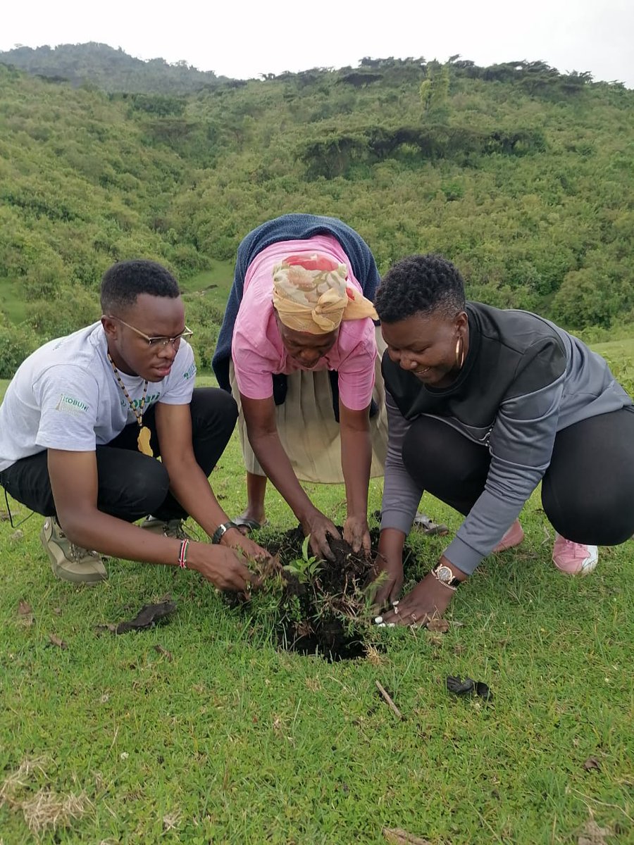 ItsCA_C's tweet photo. We host youths from different places in the north rift. We planted 400 indegenous seedlings and 20 bamboo seedlings. https://t.co/i9OT3pQneg